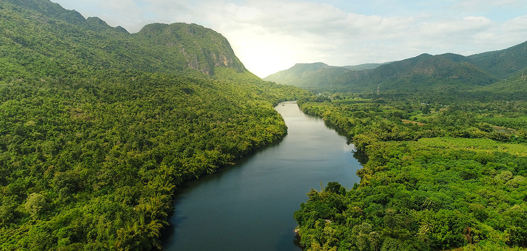 Voluntary Carbon Markets